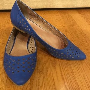 Restricted blue pointed flats